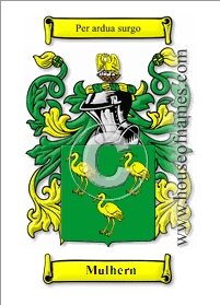 Mulhern Coat of Arms